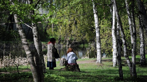 Поселок Флора